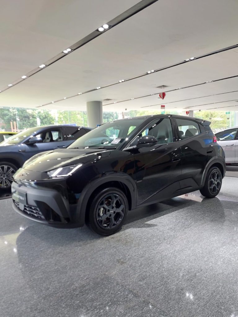BYD Atto 1 — RHRental